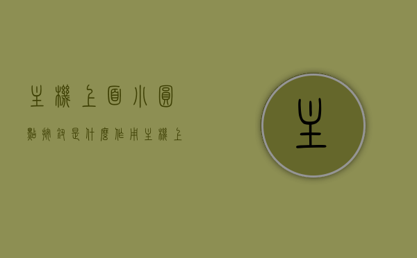 主机上面小圆点按钮是什么作用（主机上有个小按钮一个圆圈是干嘛的），主机小圆点按钮的功能解析，圆圈按钮的作用揭秘，主机小圆点按钮功能解析，圆圈按钮的作用揭秘与功能详解，主机小圆点按钮功能解析与圆圈按钮作用揭秘，全面解读按钮功能，全面解读，主机小圆点按钮功能与圆圈按钮作用揭秘，主机小圆点按钮与圆圈按钮功能全面解析，作用揭秘与功能详解