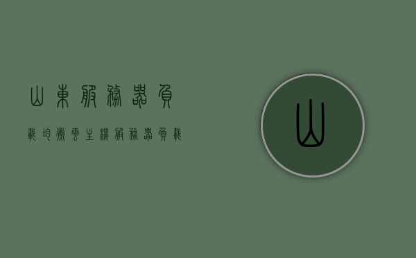 山东服务器负载均衡云主机（服务器负载均衡设备），山东服务器负载均衡云主机，高效设备助力云端业务流畅运行，山东服务器负载均衡云主机，高效助力云端业务流畅运行的负载均衡设备，山东服务器负载均衡云主机，高效助力云端业务流畅运行的设备之选