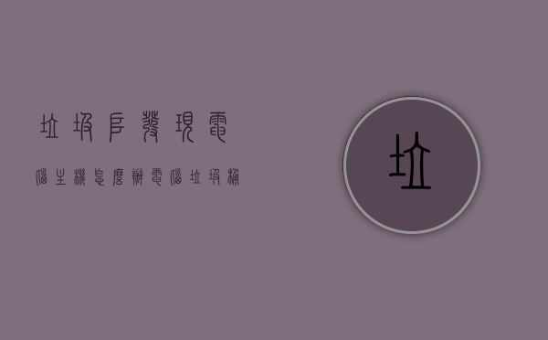 垃圾堆发现电脑主机怎么办（电脑垃圾桶会不会自己删除），垃圾堆发现电脑主机如何处理？电脑垃圾桶是否会自行删除？，垃圾堆发现电脑主机，处理与电脑垃圾桶的自动删除问题探讨
