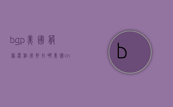 bgp美国服务器租用好在哪（美国cn2服务器租用），BGP美国服务器租用的优势及CN2服务器租用解析，BGP美国服务器租用的优势与CN2服务器租用解析，为何选择租用美国服务器？