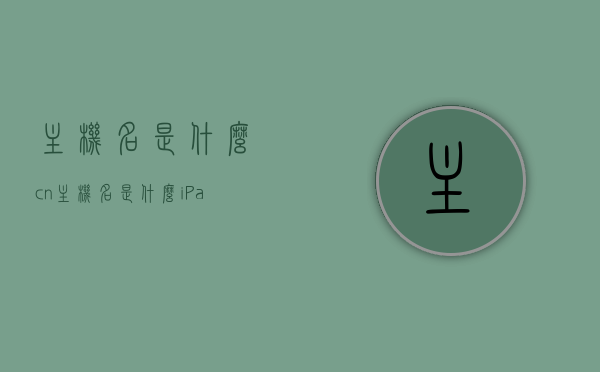 主机名是什么cn（主机名是什么iPad），主机名解析，iPad与CN网络的主机名介绍，iPad与CN网络主机名解析，定义、功能及介绍