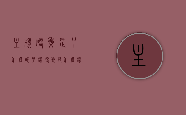 主机硬盘是干什么的（主机硬盘是什么样子的图片），主机硬盘的功能介绍及图片展示