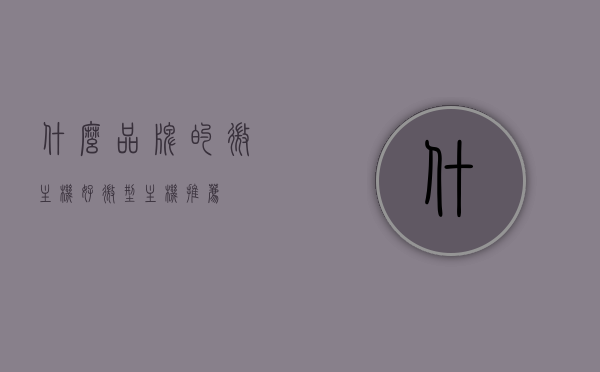 什么品牌的微主机好（微型主机推荐），微型主机推荐，哪个品牌更胜一筹？，微型主机品牌推荐，哪个品牌的微主机更胜一筹？全面解析！，微型主机品牌推荐，哪个品牌的微主机更胜一筹？全面解析与推荐，微型主机品牌推荐，全面解析与推荐，哪个品牌的微主机更胜一筹？