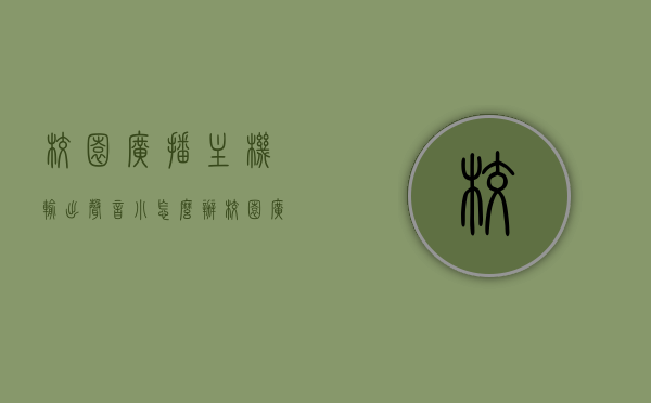 校园广播主机输出声音小怎么办（校园广播主机与功放怎么连接），解决校园广播主机声音小问题及广播主机与功放连接指南