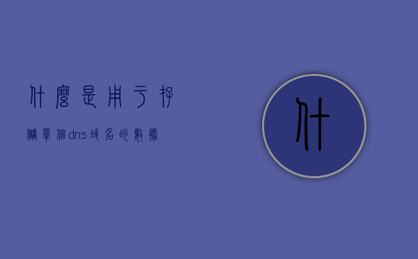 什么是用于存储单个dns域名的数据库（什么是用于存储单个dns域名的数据库），单一DNS域名存储的数据库解析与存储机制解析