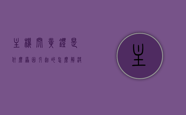 主机闪黄灯是什么原因引起的怎么解决（主机闪黄灯是什么原因引起的怎么解决呢），主机闪黄灯原因解析及解决策略，主机闪黄灯原因解析，故障排查与解决策略，主机闪黄灯原因解析，故障排查、解决策略及处理方法，主机闪黄灯原因解析，故障排查、解决策略及处理方法全攻略