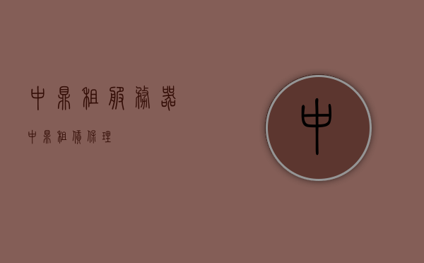 中鼎租服务器（中鼎租赁保理），中鼎租赁保理，服务器租赁服务详解