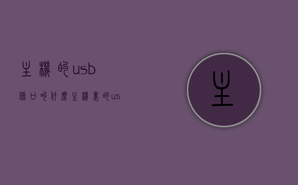 主机的usb借口叫什么（主机里的usb插头是干什么的），主机USB接口介绍及功能，USB插口用途与命名解析