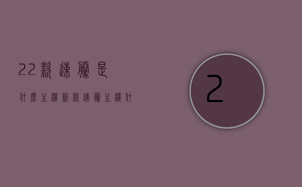 22款速腾是什么主机（新款速腾主机什么型号），揭秘，新款速腾主机型号揭晓——你所关心的速腾主机型号全解析，揭秘与解析，新款速腾主机型号全解析——你所关心的速腾主机型号揭晓，揭秘解析，新款速腾主机型号全解析——速腾主机型号揭秘与揭晓