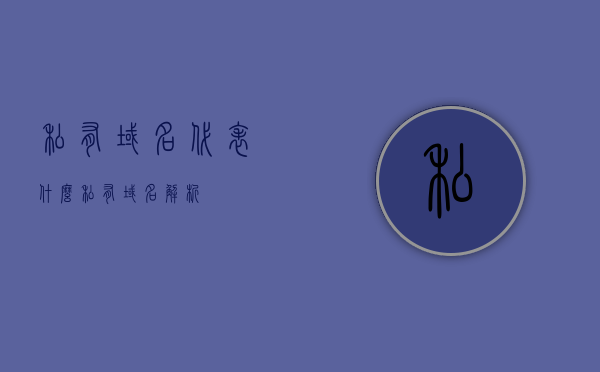 私有域名代表什么（私有域名解析），私有域名的含义与解析介绍，私有域名的含义与解析介绍，深度解析私有域名的概念及功能作用，深度解析，私有域名的概念、功能作用与含义解析介绍