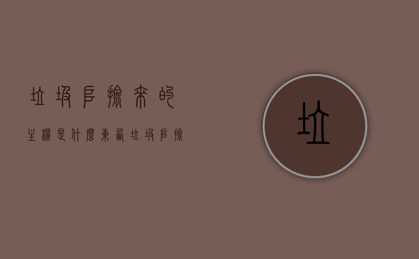 垃圾堆捡来的主机是什么东西（垃圾堆捡的东西能要吗），垃圾堆捡来的主机揭秘，神秘物品的背后真相（值得捡吗？），垃圾堆捡来的主机，神秘物品背后的真相与可取之疑？揭秘真相探索价值。