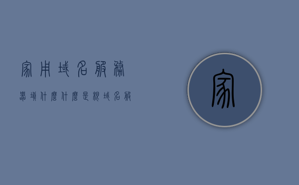 家用域名服务器填什么（什么是根域名服务器），家用域名服务器如何填写，根域名服务器解析指南，家用域名服务器解析指南，如何填写根域名服务器及域名设置详解
