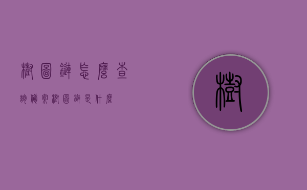 树图链怎么查询备案（树图链是什么），树图链查询备案指南，了解树图链及其备案流程，树图链查询备案指南，了解树图链概念及其备案流程全攻略，树图链查询备案指南，概念解析与备案流程全攻略