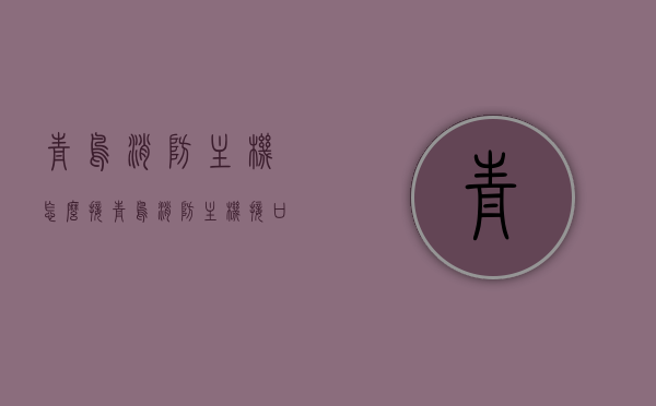 青鸟消防主机怎么接（青鸟消防主机接口卡故障），青鸟消防主机接口卡故障解析与接驳方法，青鸟消防主机接口卡故障解析、接驳方法及消防主机接线指南，青鸟消防主机接口卡故障解析与接驳方法，详细接线指南及故障处理技巧，青鸟消防主机接口卡故障解析与接驳方法详解，接线指南及故障处理技巧，青鸟消防主机接口卡故障解析与接驳方法详解，接线指南及故障处理技巧全攻略，青鸟消防主机接口卡故障解析与接驳方法详解，接线指南及故障处理技巧全攻略