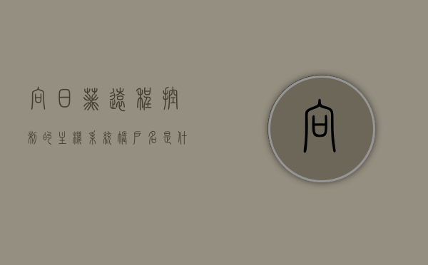 向日葵远程控制的主机系统账户名是什么（向日葵远程电脑要登录主机系统账户名），向日葵远程控制的主机系统账户名详解，登录必备知识