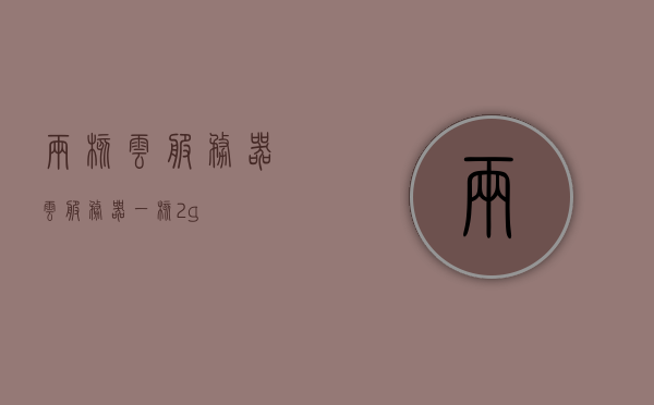 两核云服务器（云服务器一核2g），两核云服务器性能解析，一核2G配置的优势与特点