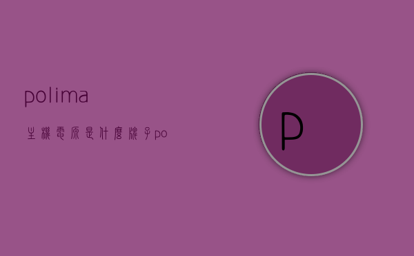 polima主机电源是什么牌子（pol电源作用），Polima主机电源品牌解析及电源作用探讨，Polima主机电源品牌深度解析，探究电源作用与品牌特点，Polima主机电源品牌深度解析及电源作用探究，品牌特点与实际应用探讨，Polima主机电源品牌全面解析，探究电源作用与品牌特点