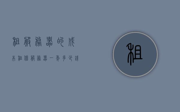 租服务器的成本（租借服务器一年多少钱），租服务器成本详解，一年需要多少钱？
