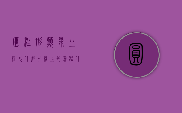 圆柱形苹果主机叫什么（主机上的圆柱什么意思），圆柱形苹果主机名称解析，揭秘主机上圆柱状部件的含义，揭秘苹果圆柱形主机名称及圆柱状部件含义解析，揭秘苹果圆柱形主机名称及其圆柱状部件含义解析，揭秘苹果圆柱形主机名称及其内部圆柱状部件的含义解析