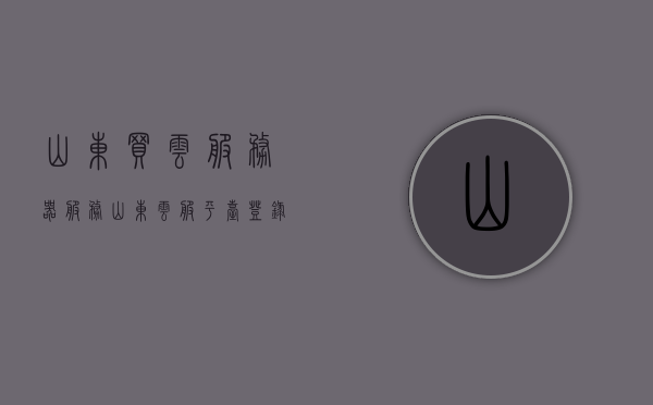 山东买云服务器服务（山东云服平台登录界面），山东云服务器服务及平台登录界面简介，山东云服务器服务概览及登录界面简介，山东云服务器服务概览与登录界面简介，山东云服务平台访问指南，山东云服务器服务概览与登录界面访问指南