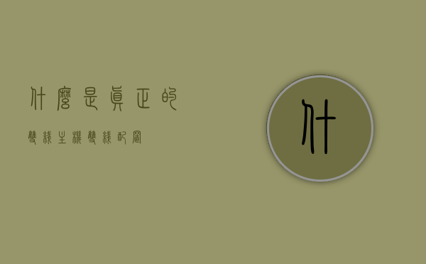 什么是真正的双线主机（双线配置），双线主机（双线配置）的真正含义，双线主机（双线配置）的真正含义解析