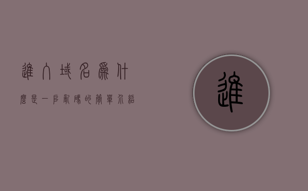 进入域名为什么是一堆乱码的简单介绍，域名乱码现象解析，原因及应对方法简介，域名乱码现象解析，原因、应对方法及简介