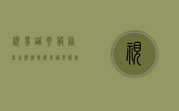 视易锋云服务器怎么连接（视易锋云服务器设置），视易锋云服务器连接与设置指南