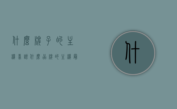 什么牌子的主机靠谱（什么品牌的主机最好），主机品牌大解析，哪个品牌的主机最靠谱？，主机品牌深度解析，哪个品牌的主机最值得信赖？