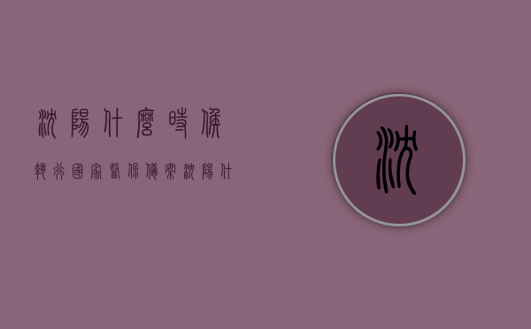 沈阳什么时候执行国家医保备案（沈阳什么时候执行国家医保备案制度），沈阳执行国家医保备案制度的时间及实施细节解析，沈阳执行国家医保备案制度的时间与实施细节全面解析