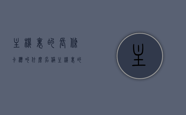 主机里的长条卡槽叫什么名称（主机里的长条卡槽叫什么名称来着），主机内的长条卡槽名称解析，主机内长条卡槽名称解析，专业解析卡槽名称及功能特点！ 第1张