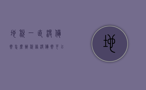 地税一直没备案怎么办（税务没备案可以开票吗），地税未备案情况下税务开票问题解析