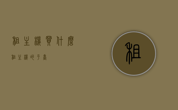 租主机买什么（租主机的平台），租主机购买指南，如何选择最佳主机平台？，租主机购买指南，如何选择最佳主机平台与租赁服务，租主机购买指南，如何选择最佳主机平台与租赁服务，租主机购买指南，如何选择最佳主机平台与租赁服务全攻略，租主机购买指南，如何选择最佳主机平台与租赁服务全攻略解析，租主机购买指南，如何选择最佳主机平台与租赁服务全攻略解析，租主机购买指南，如何选择最佳主机平台与租赁服务全攻略解析，租主机购买指南，如何选择最佳主机平台与租赁服务全攻略解析