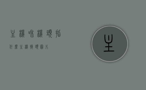 主机和机头指什么（主机接头图片），主机与机头详解，定义、图片及应用解析