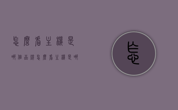 怎么看主机是哪个品牌（怎么看主机是哪个品牌型号），如何识别主机的品牌及型号，如何识别主机品牌及型号，全面指南，全面指南，如何识别主机品牌及型号，轻松掌握识别主机的方法与技巧！