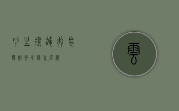 云主机运行怎么办（云主机怎么样），云主机运行详解，操作指南与体验评估