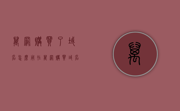 万网购买了域名怎么用（在万网购买域名如何创建个人模板），万网购买域名使用指南，如何创建个人模板？，万网购买域名使用指南，创建个人模板的步骤与技巧