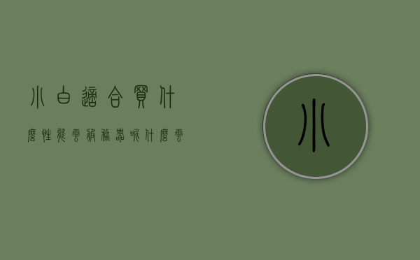 小白适合买什么性能云服务器呢（什么云服务器最便宜），小白指南，如何选择性价比高的云服务器及寻找最实惠的云服务提供商