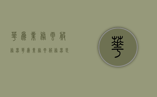 华为业务云服务器（华为业务云服务器是什么），华为业务云服务器简介及其功能作用，华为业务云服务器简介，功能作用与概述，华为业务云服务器，功能作用详解及概述，华为业务云服务器，功能详解与概述