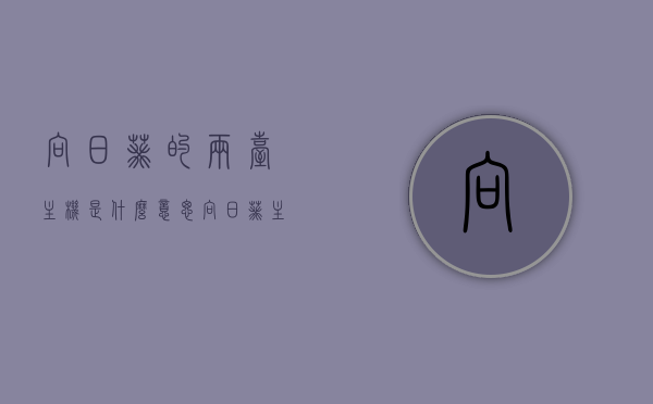 向日葵的两台主机是什么意思（向日葵主机台数啥意思），向日葵主机台数解析，什么是两台主机的含义？，向日葵主机台数解析，理解两台主机的含义与向日葵应用中的主机台数概念，向日葵应用中的主机台数解析，理解两台主机的含义与应用概念，向日葵应用中的两台主机概念解析，理解主机台数的含义与应用概念，向日葵应用中主机台数概念解析，理解两台主机的含义与应用概念
