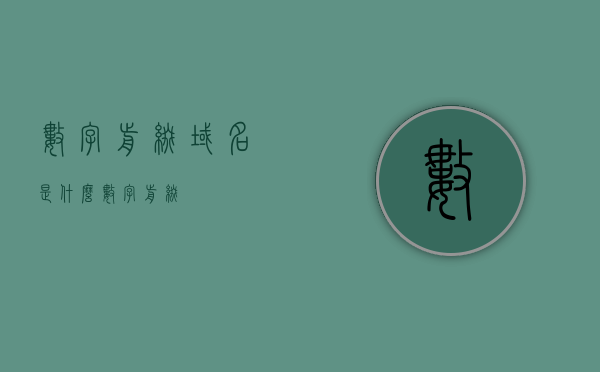 数字前缀域名是什么（数字 前缀），数字前缀域名的解析，概念与特点解析，数字前缀域名的概念、解析与特点详解，从概念到解析，一文了解数字前缀域名的重要性与优势