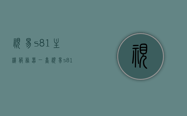 视易s81主机服务器一台（视易s81服务器怎么样），视易S81主机服务器性能详解，使用体验与评估