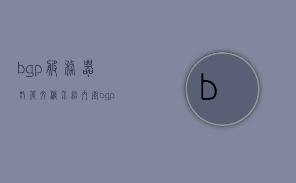 bgp服务器托管文档介绍内容（bgp服务器为什么贵），BGP服务器托管文档介绍及高昂价格解析，BGP服务器托管文档详解，高昂价格背后的原因与解析 第1张