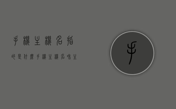 手机主机名指的是什么（手机主机名和主机地址），手机主机名的定义及其与主机地址的关系解析，手机主机名与主机地址解析，定义及关系探讨，手机主机名与主机地址解析，定义、关系及探讨，手机主机名与主机地址解析，定义、关系及探讨全解析，手机主机名与主机地址解析详解，定义、关系及全貌探讨