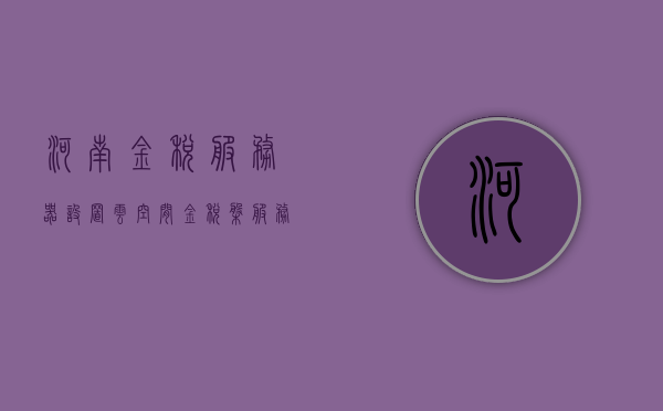河南金税服务器设置云空间（金税盘服务商），河南金税服务器云空间设置（金税盘服务商操作指南）