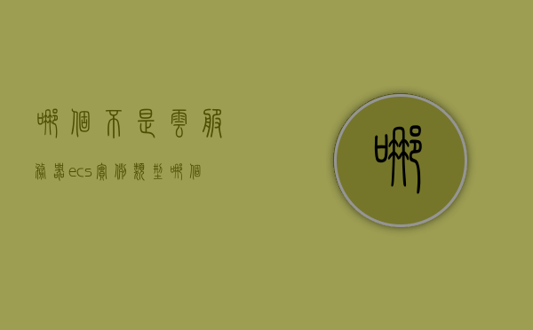 哪个不是云服务器ecs实例类型（哪个不是云服务器ecs实例类型 边缘计算），边缘计算与云服务器ECS实例类型解析，识别非ECS实例类型，解析边缘计算与云服务器ECS实例类型，识别非ECS实例类型指南