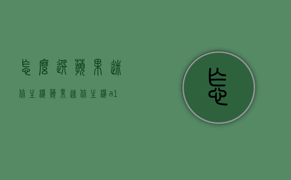 怎么选苹果迷你主机（苹果迷你主机a1347），如何挑选苹果迷你主机A1347？