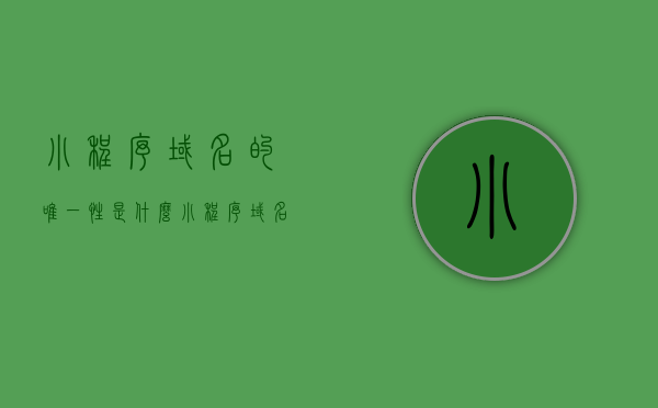 小程序域名的唯一性是什么（小程序域名的唯一性是什么意思），小程序域名的唯一性解析，确保小程序域名独特性的重要性