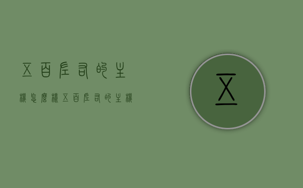 五百左右的主机怎么样（五百左右的主机怎么样值得买吗），五百元左右主机性能解析，值得购买吗？