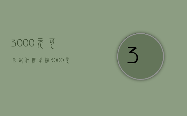 3000元可以配什么主机（3000元可以配什么主机），预算3000元，如何配置高性价比主机？，预算3000元，高性价比主机配置方案大解析！，预算3000元的高性价比主机配置方案全面解析，打造理想主机之选！，预算3000元高性价比主机配置方案全面解析，理想主机之选！，预算3000元高性价比主机配置方案全面解析，理想主机之选！，预算3000元高性价比主机配置方案全面解析，理想主机之选！，预算3000元高性价比主机配置方案全面解析，理想主机推荐！