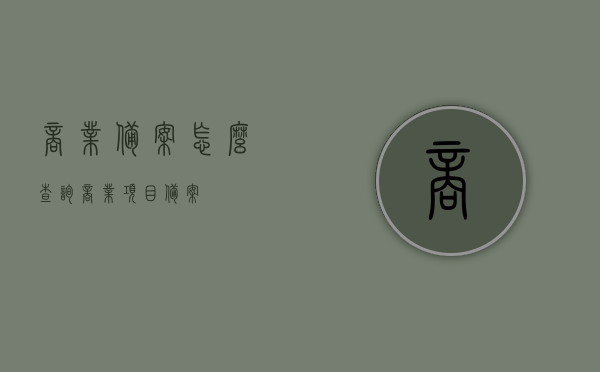 商业备案怎么查询（商业项目备案），商业备案查询指南，如何查询商业项目备案信息，商业备案查询指南，如何查询商业项目备案信息及备案流程详解